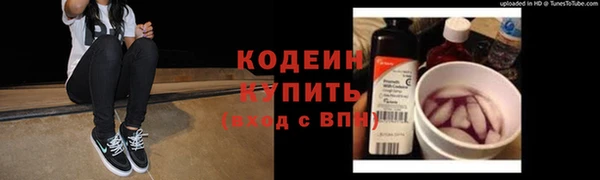 гашик Ладушкин