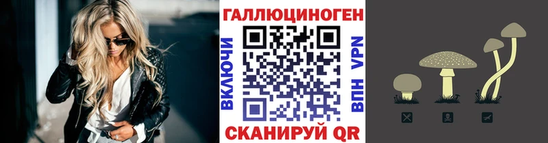 купить наркотики цена  Краснодар  Галлюциногенные грибы Psilocybe 
